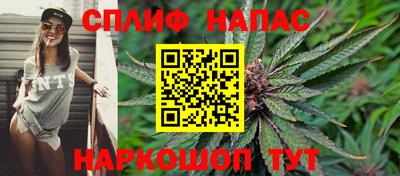 стаф Гагарин