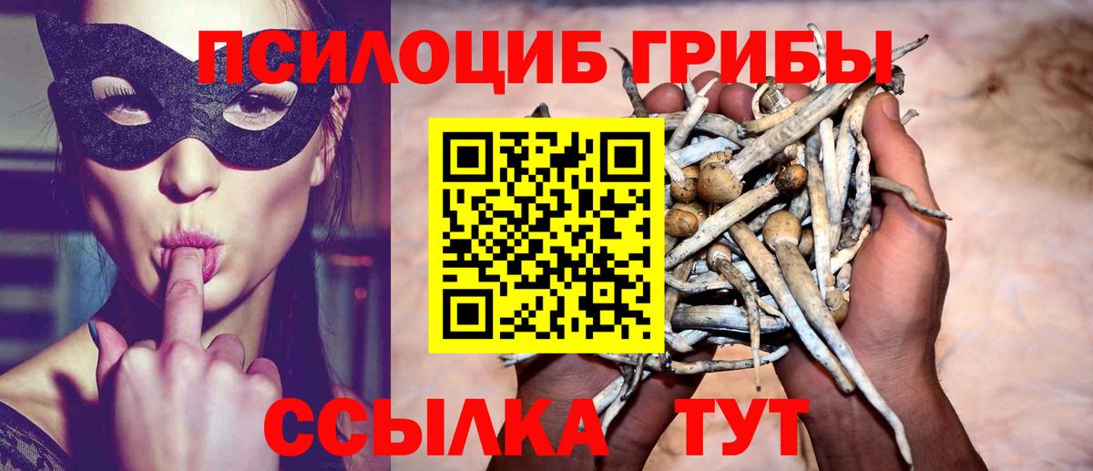 Псилоцибиновые грибы ЛСД Елизово