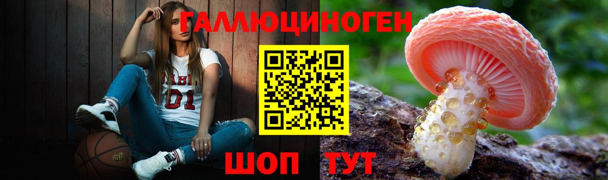 Псилоцибиновые грибы мицелий  Вход с VPN  Елизово 